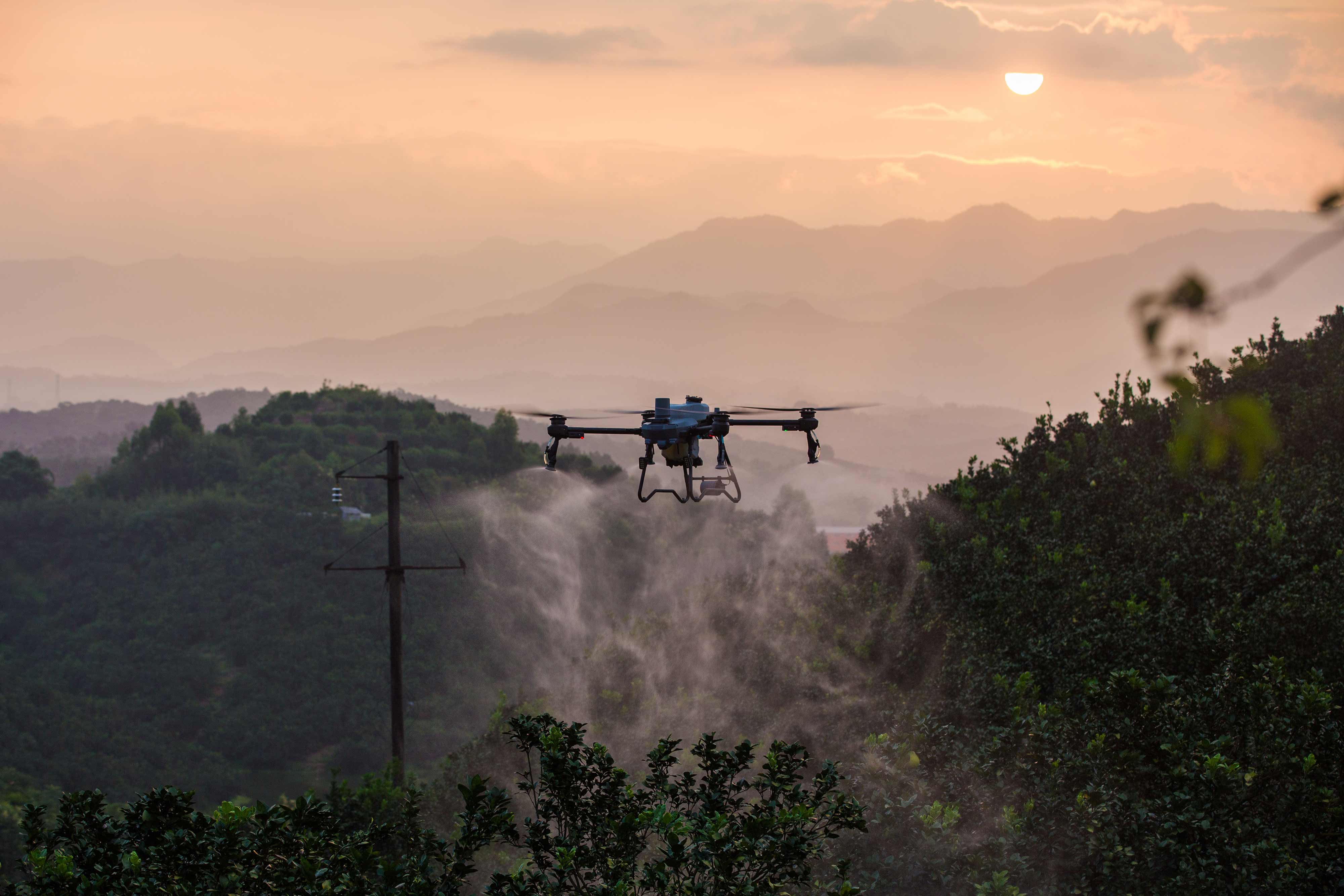 AGRAS T25P - Galería 1