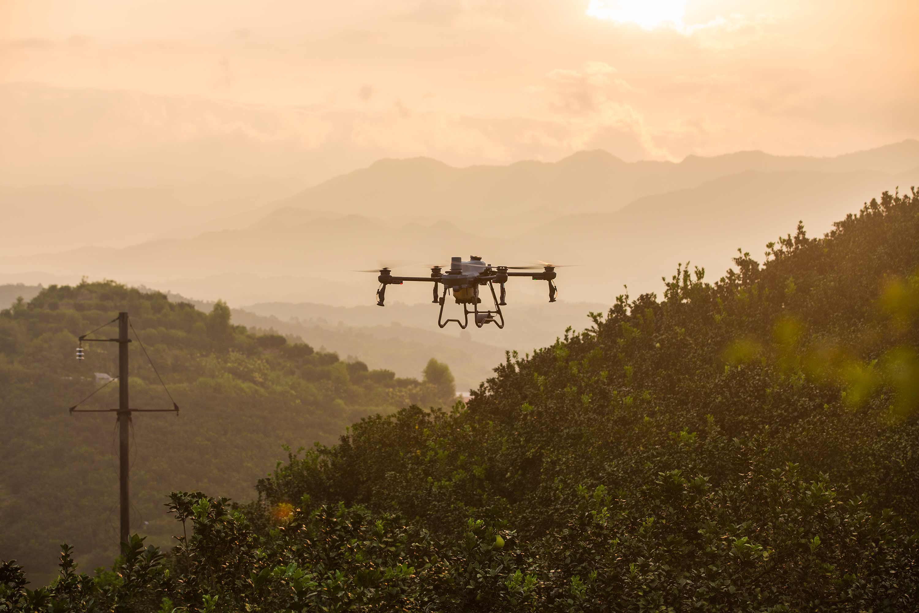 AGRAS T25P - Galería 3